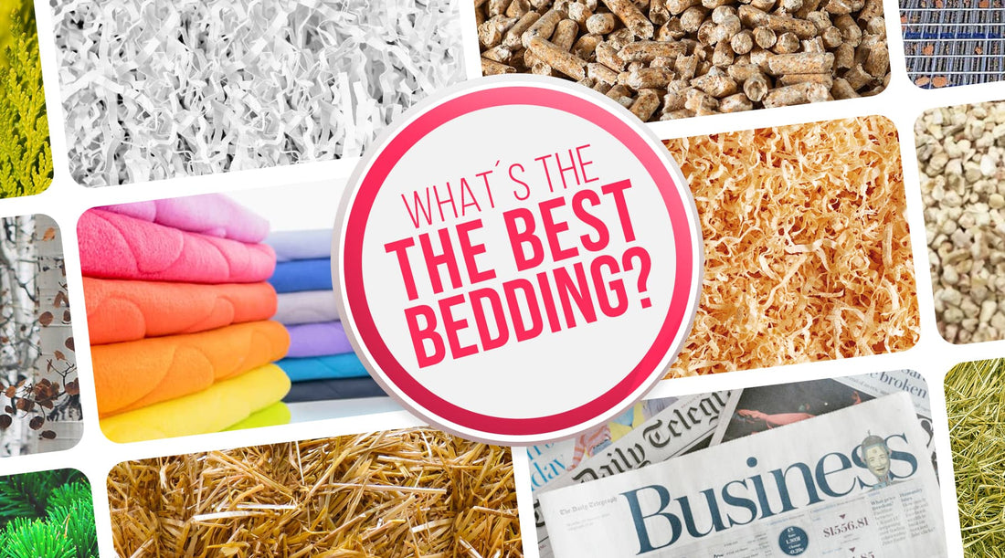 Discover the ultimate best bedding for Guinea Pigs, Rabbits, Chinchillas, Hedgehogs, Gerbils, Hamsters, Mice and Rats that guarantees comfort and safety.