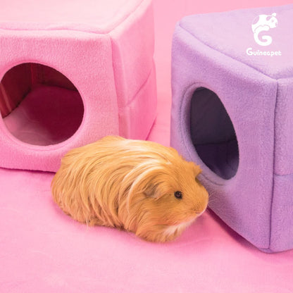 Guineapet cubes on Guineapet liners with a cute long hair guinea pig.