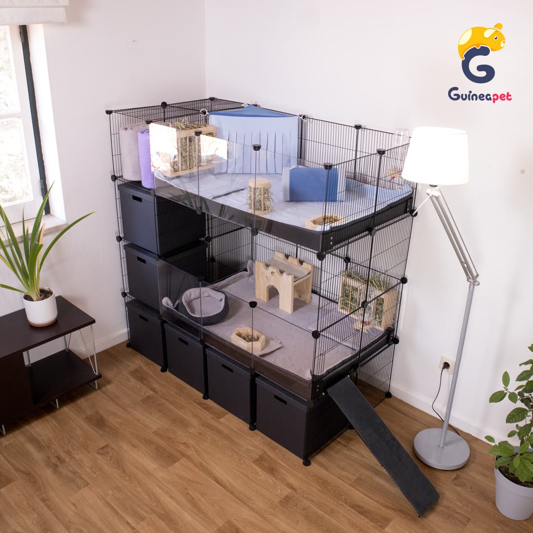 C&C Guineapet double enclosure cage home with stand and storage with Guineapet liners, pee pads, bedding, fleece forest, tunnel, cube, rolling hay feeder, wooden bowl, bottle stand, cuddle cup, hay feeder, wooden hammock in a home with wooden floor, and plants. 