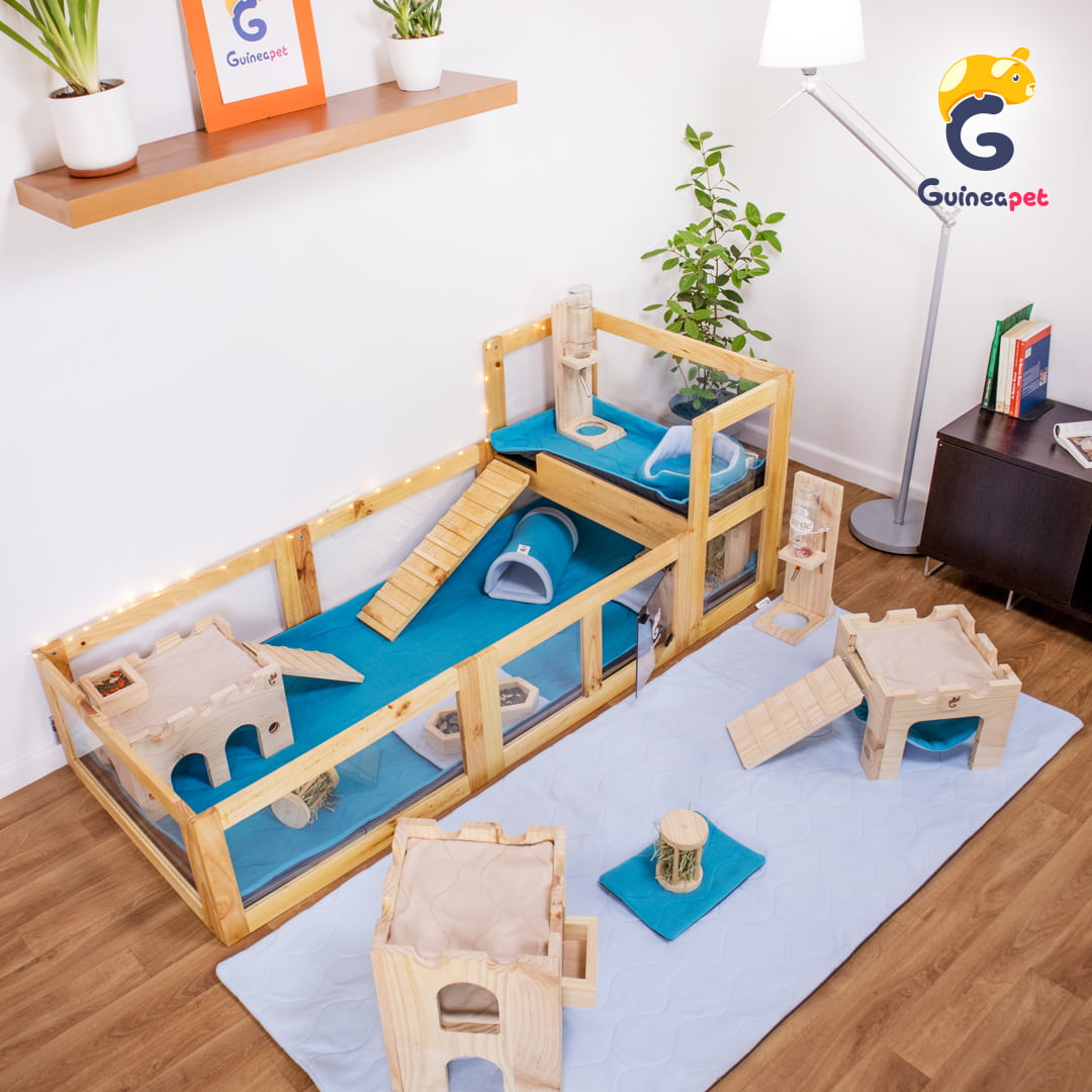 Wooden Guineapet enclosure cage home with Guineapet liners, pee pads, bedding, tunnel, cube, rolling hay feeder, wooden bowl, bottle stand, cuddle cup, hay feeder, wooden hammock, and wooden castle in a home with wooden floor, and plants. 