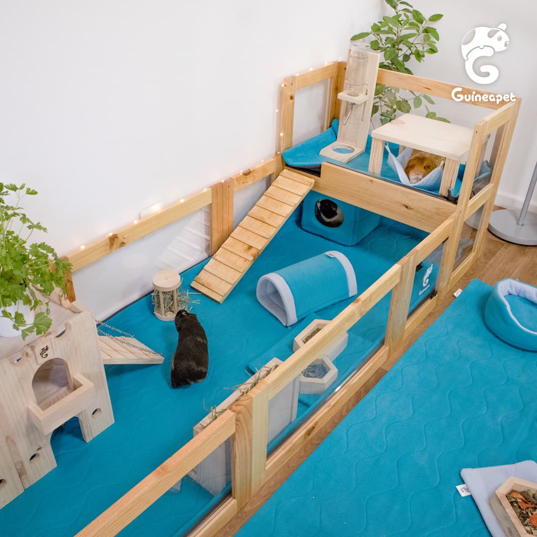 Wooden Guineapet enclosure cage home with a loft, Guineapet liners, pee pads, bedding, tunnel, cube, rolling hay feeder, wooden bowl, bottle stand, cuddle cup, hay feeder, wooden hammock, and a wooden castle in a home.