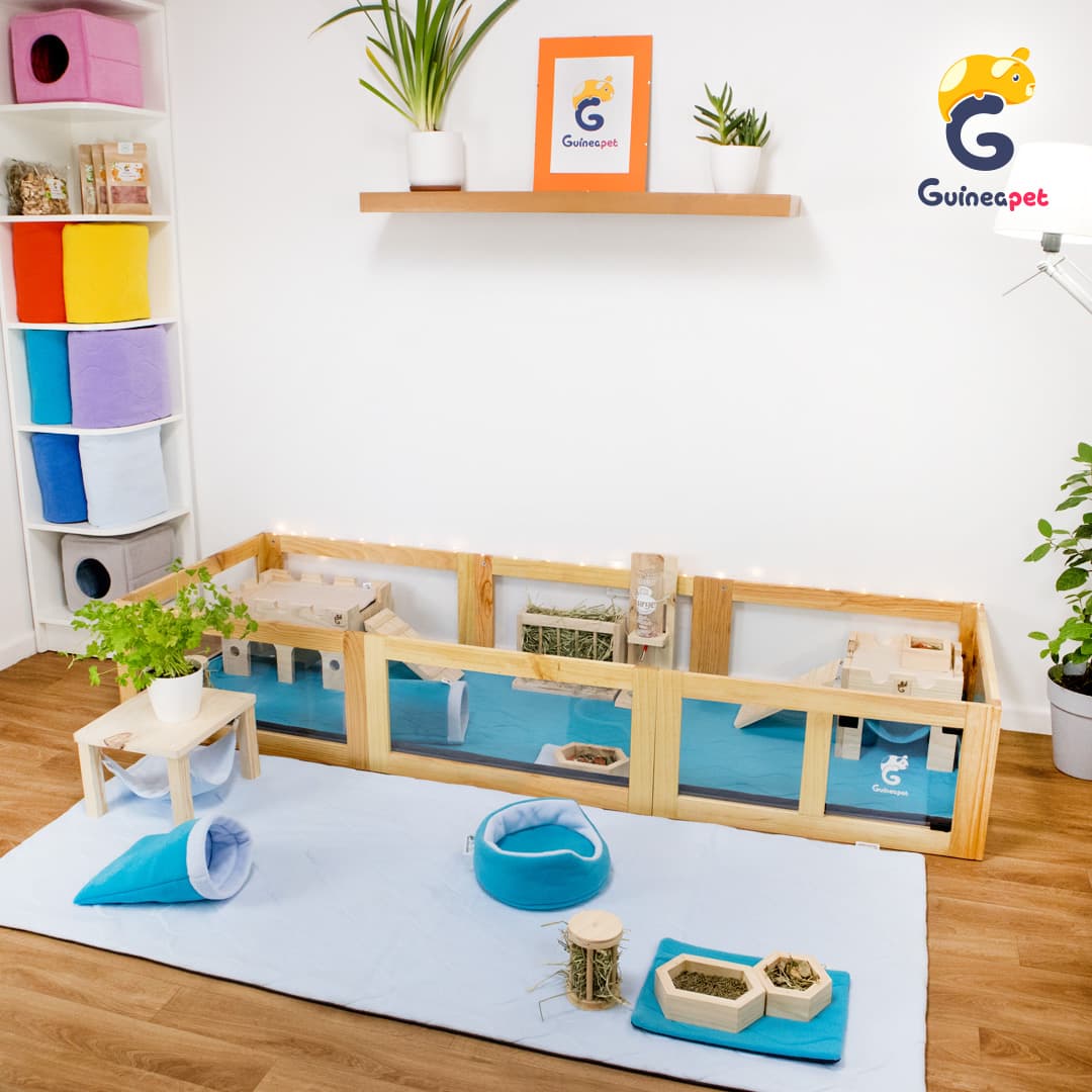 Wooden Guineapet enclosure cage home with Guineapet liners, pee pads, bedding, tunnel, cube, rolling hay feeder, wooden bowl, bottle stand, cuddle cup, hay feeder, wooden hammock, and a wooden castle in a home.