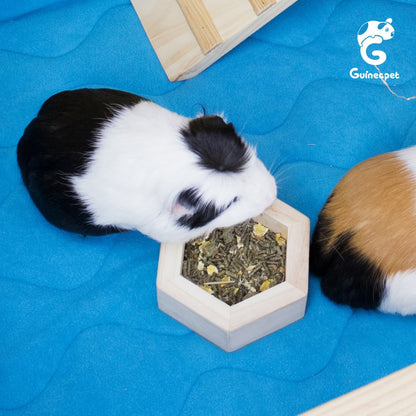 C&C Guineapet enclosure cage home with Guineapet liners, pee pads, bedding, wooden bowl, and bottle stand with a cute guinea pig.