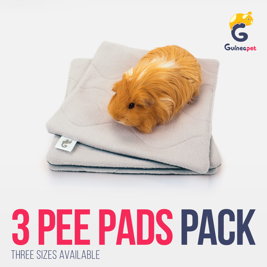 3 Pee Pads Pack