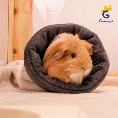 Cute guinea pig resting in a cuddle bag in a wooden Guineapet enclosure cage home with guineapet liner